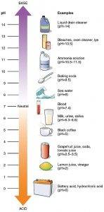 bild med olika livsmedel  och pH-skala för att visa kostens pH-värde