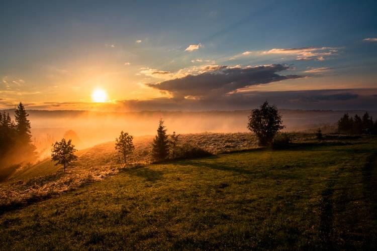 Soluppgång i naturen där solen kommer upp från molnen vid skogsbryn, morgonmänniska