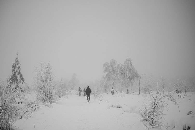 Personer på promenad i vinterlandskap med mycket snö