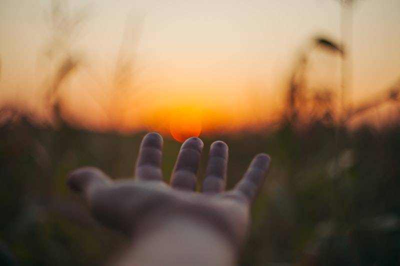 Hand hålls fram med handflatan upp mot solen i bakgrunden. Det är solnedgång eller soluppgång och solen är alldeles röd orange på horisonten. Bakgrunden är suddig med grässtrån och växtlighet