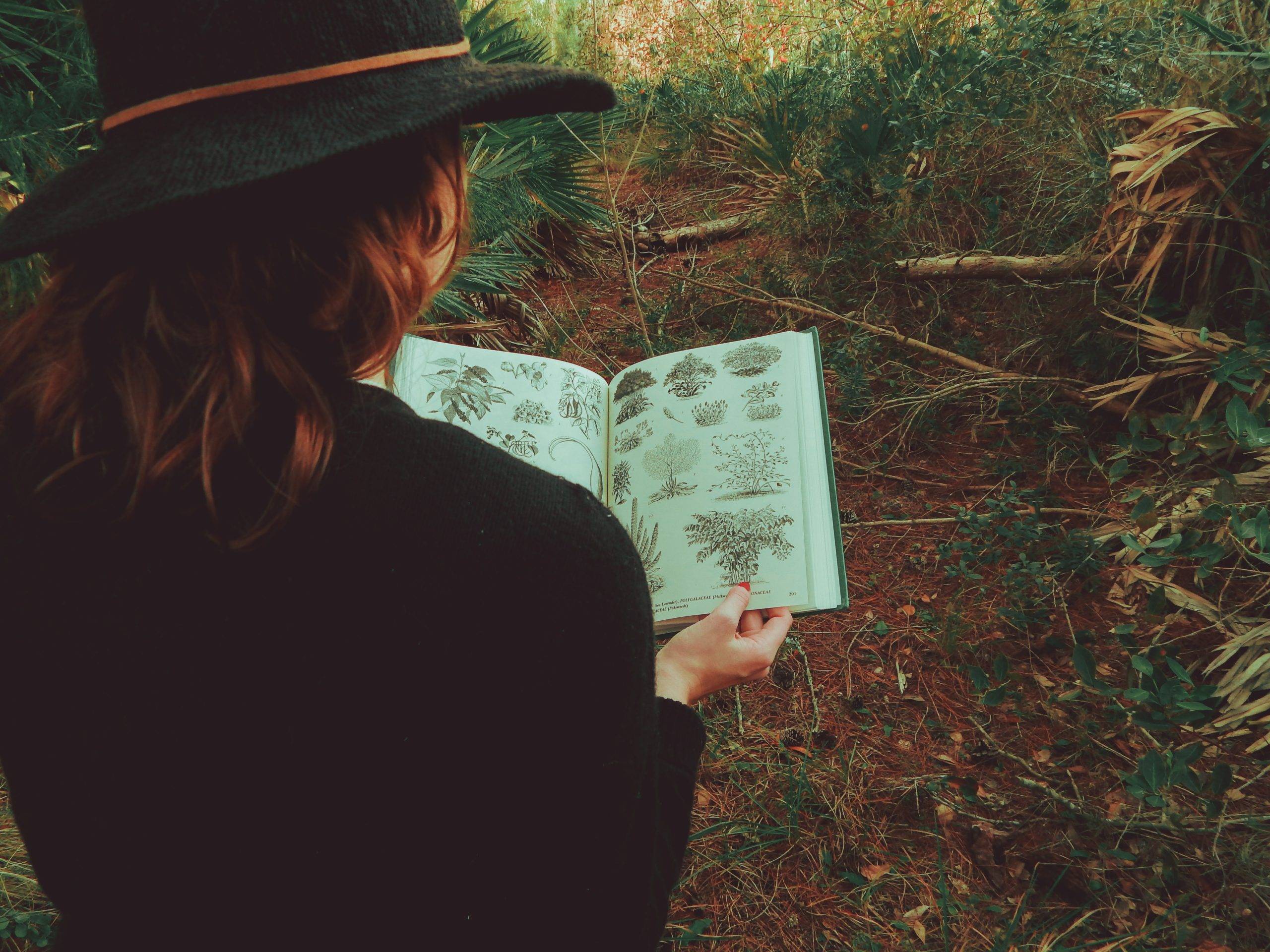Kvinna med svart hatt tittar i en örtbok i naturen. Bilden är tagen bakifrån kvinnans rygg och över hennes axlar på örtboken där kvinnan tittar ner. Hon har utsläppt rödbrunt hår och står i naturen.