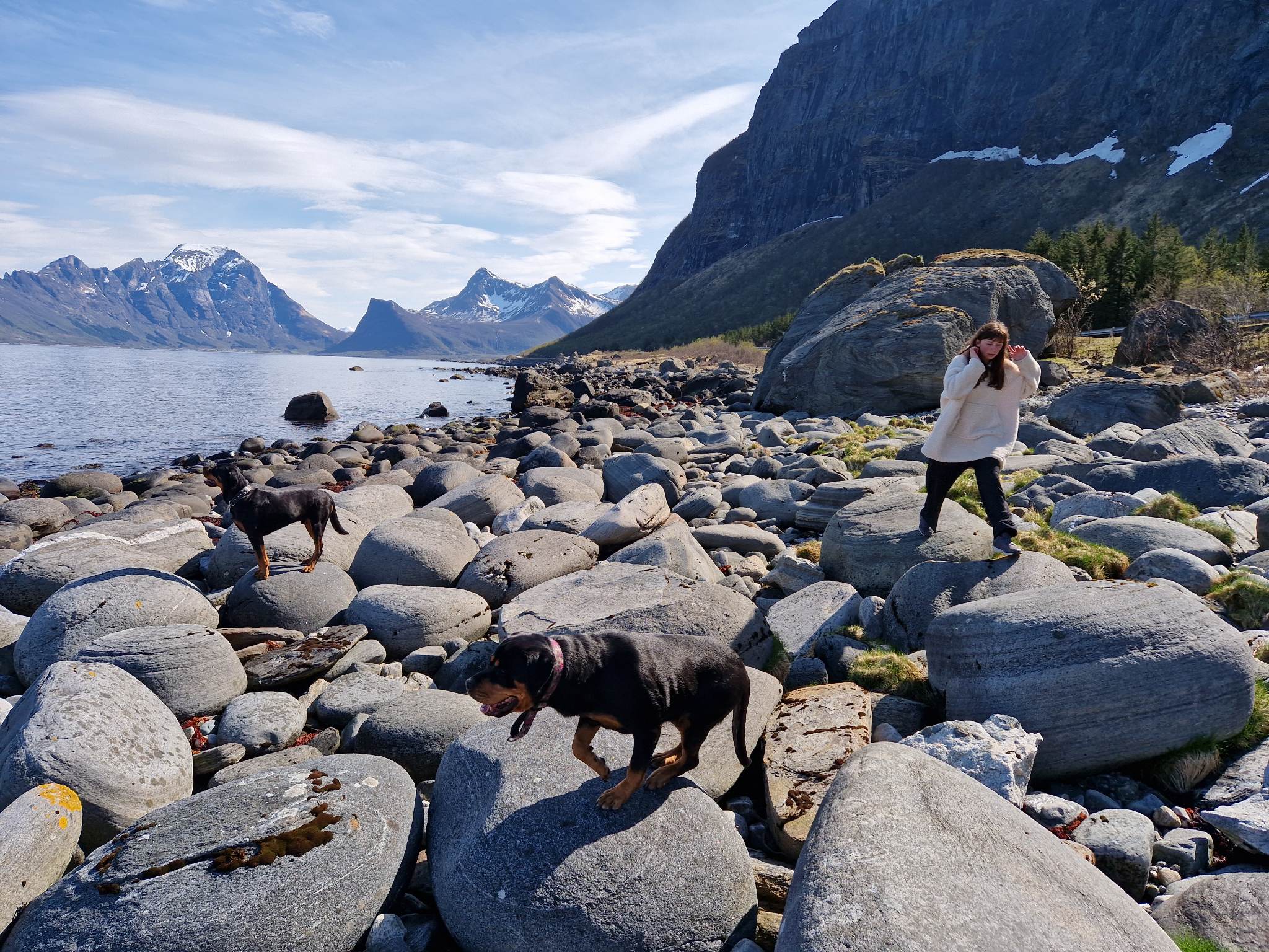 Her er vi på Ureddplassen. Hunden fikk strekke litt på seg og vi spiste Lunsj før vi kjørte hjem