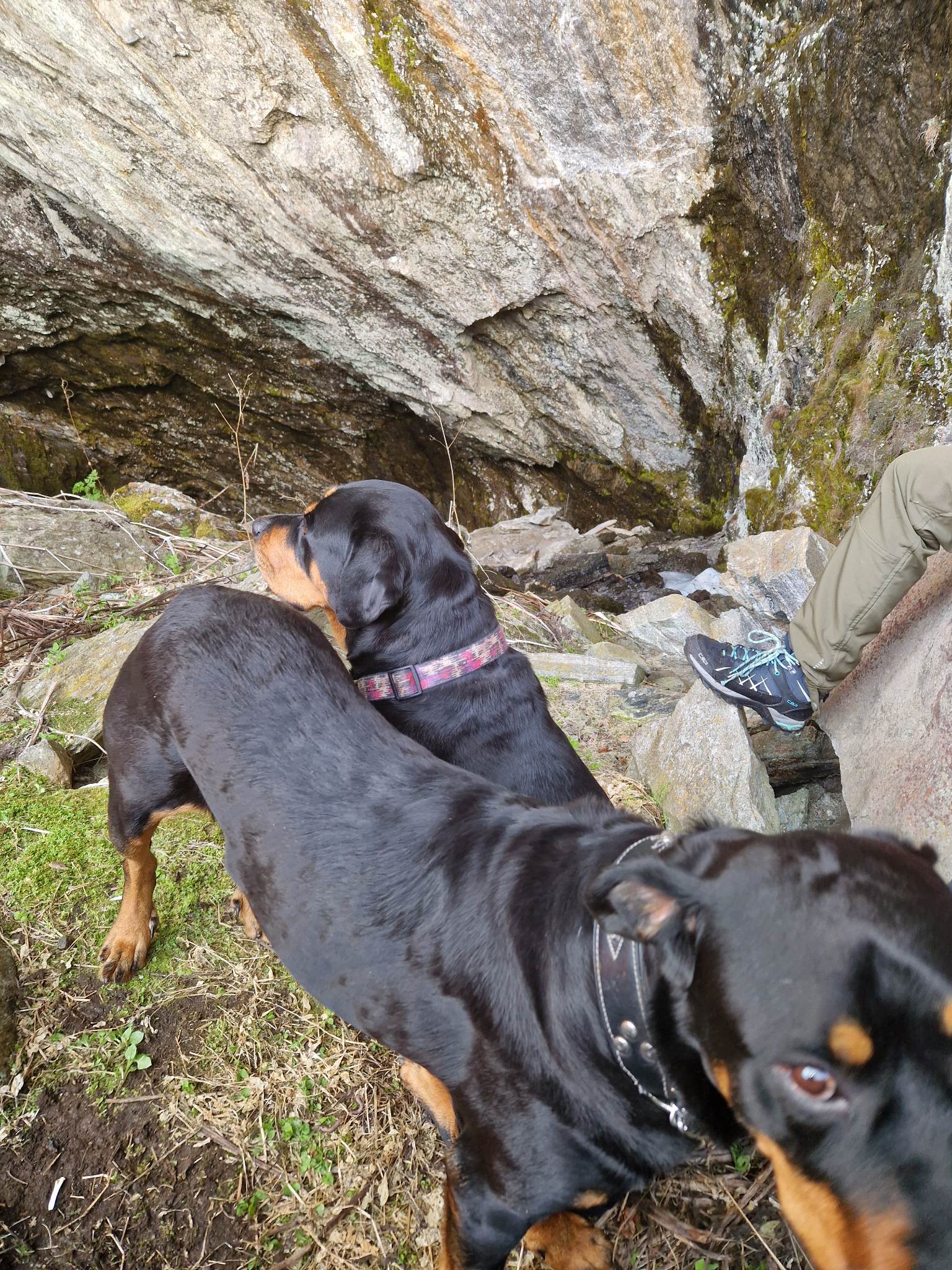 Hunden måtte vente ute mens vi gikk inn i grotta.