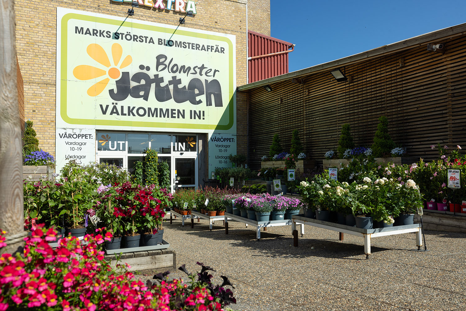 blomsterjatten_76A0751