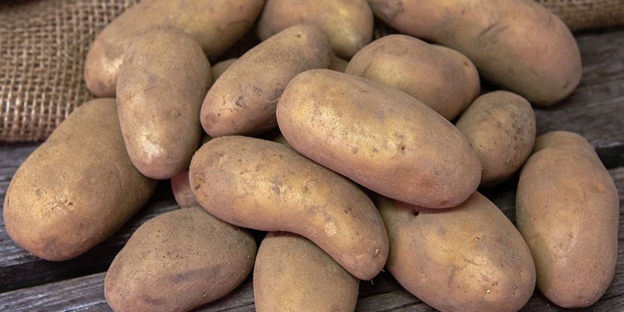 Sättpotatis utlagd på ett bord