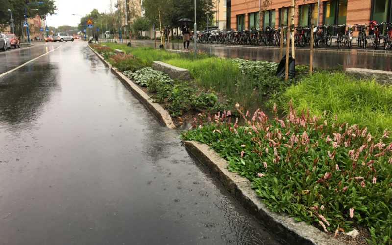 #bluegreengrey street Strandbogatan in Uppsala