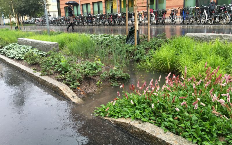 Grönblå infrastruktur – hållbar dagvattenhantering i gaturum