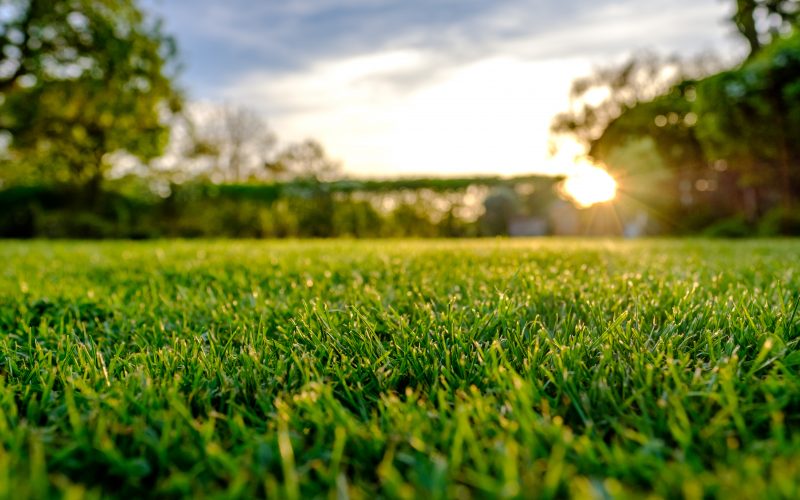 Root zones and drainage solutions for sports lawns