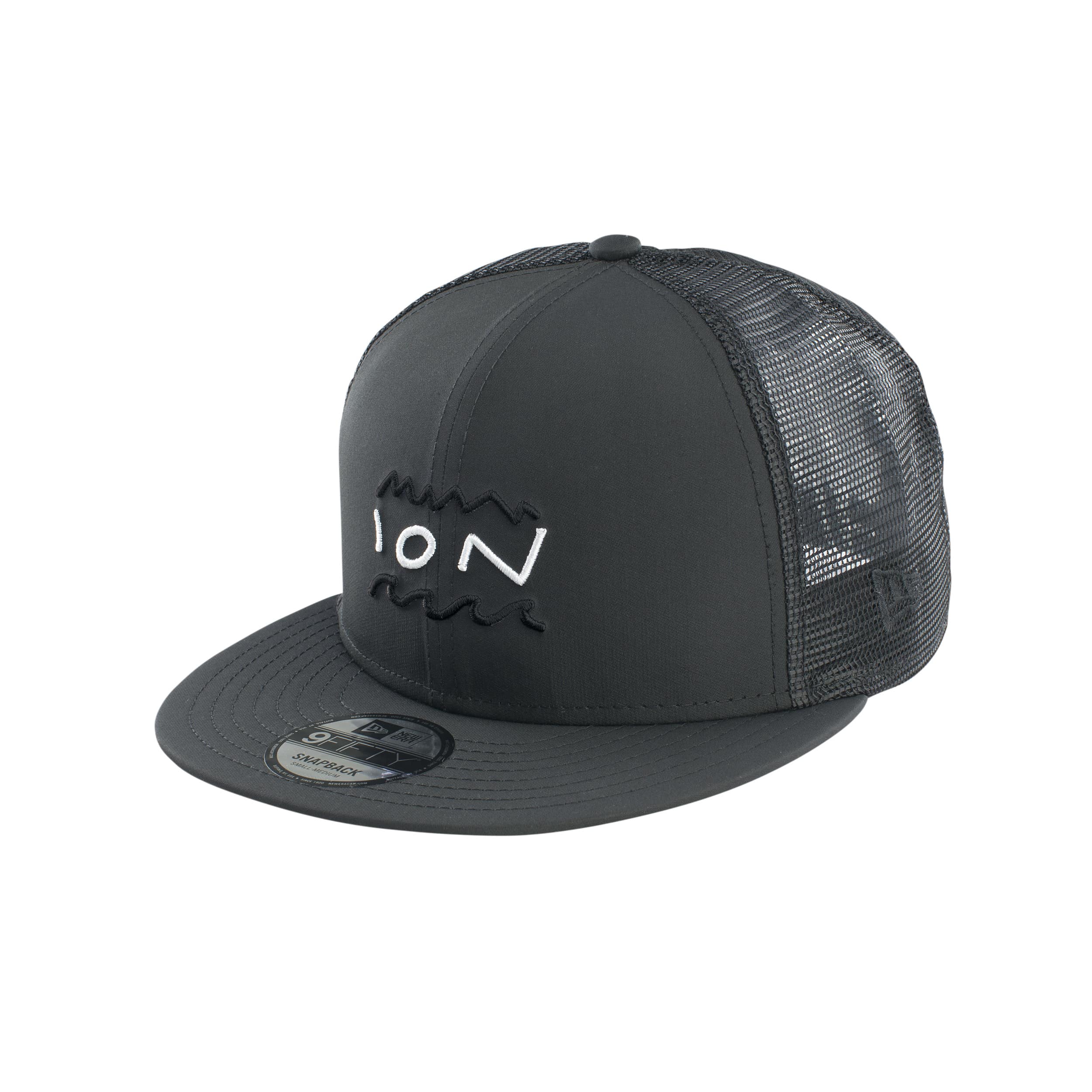 ION Cap Statement 2021