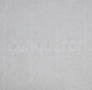 conqwaterm