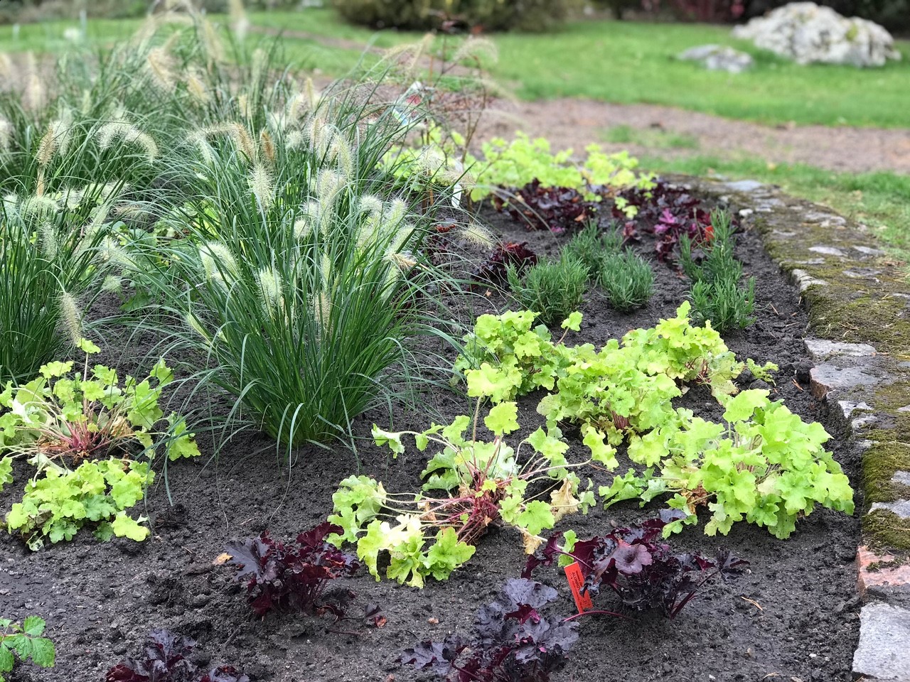 Plantering Djursholm