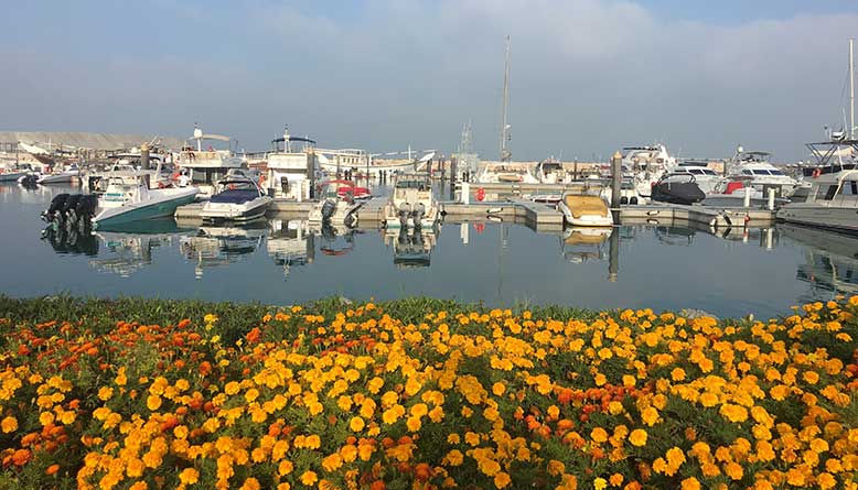 dubai yacht rental prices