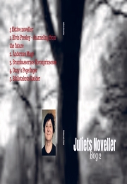 Juliets Noveller Bog 2