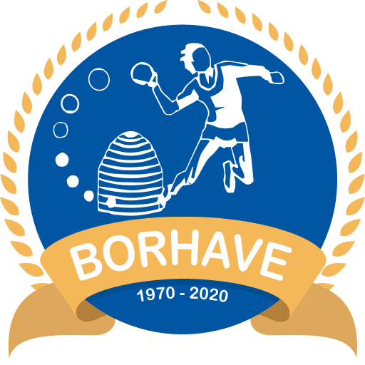 H.V. Borhave