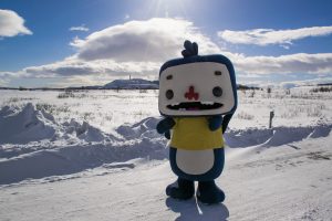 Pa-zu, unofficial mascot of Kiruna