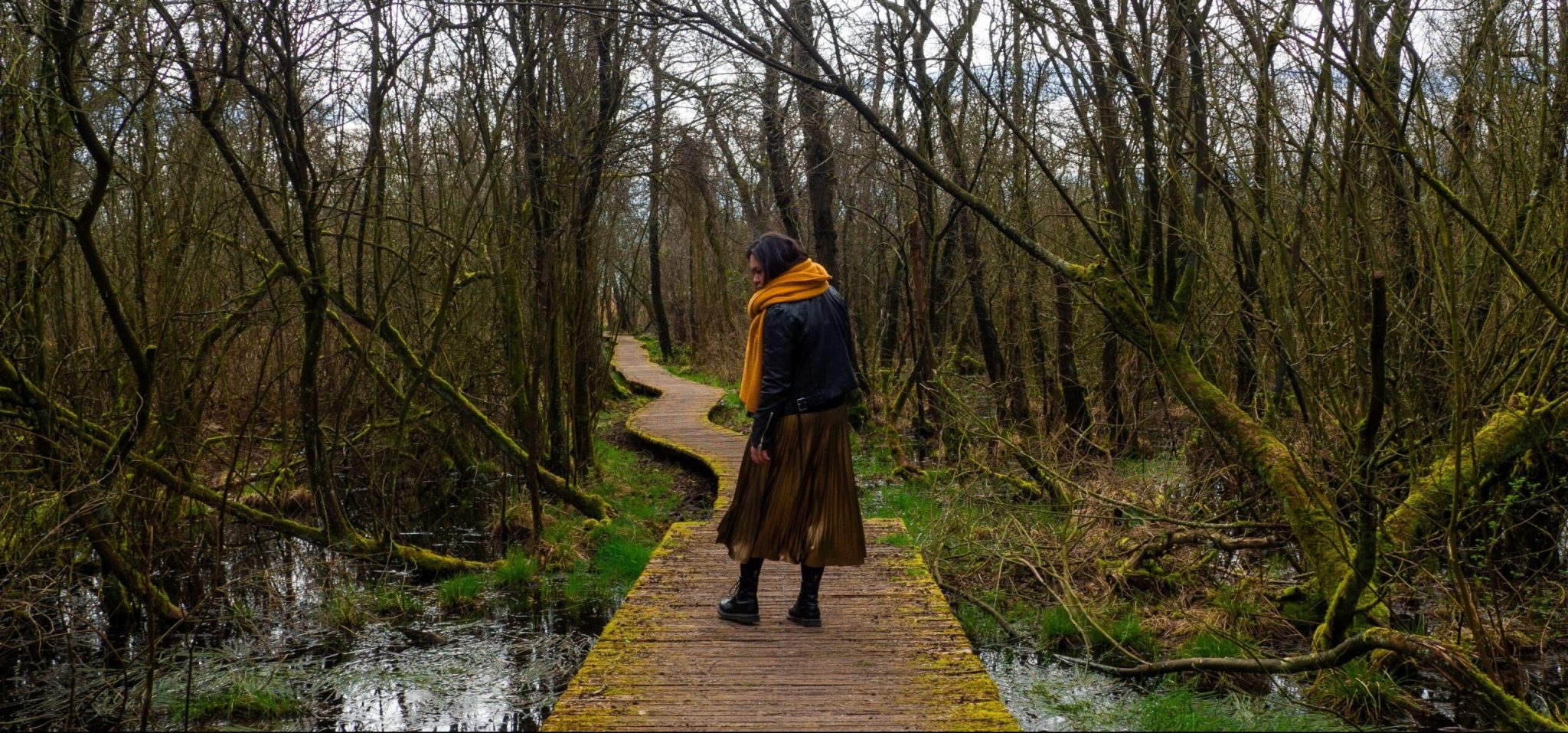 WANDELEN DEN BOSCH DE MOERPUTTEN