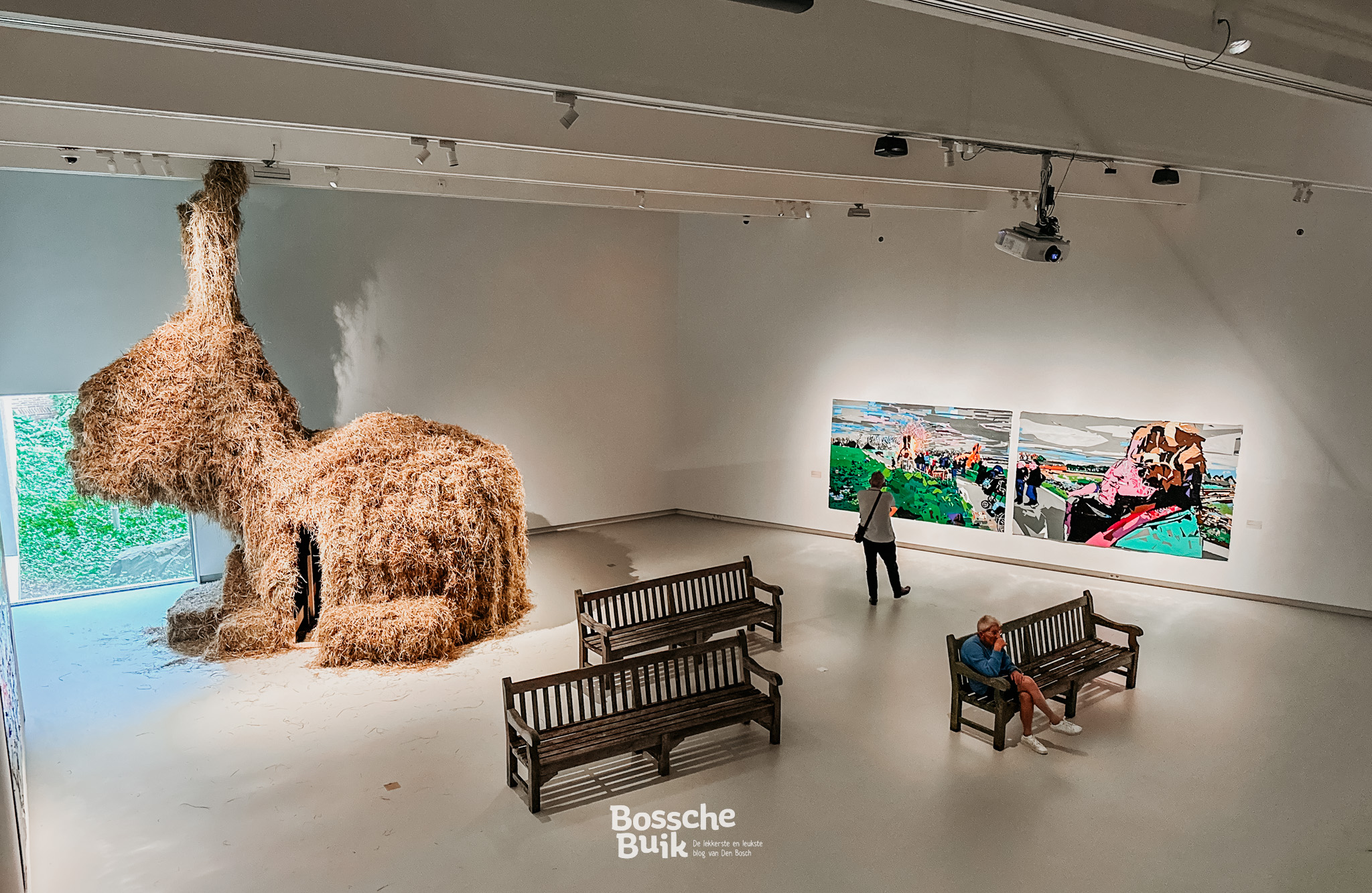 Bossche Buik: Het Noordbrabants Museum - Veranderland