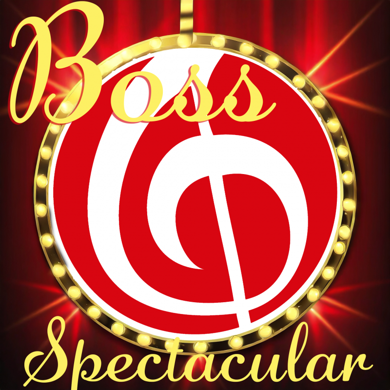 Boss Spectacular Volwassenen