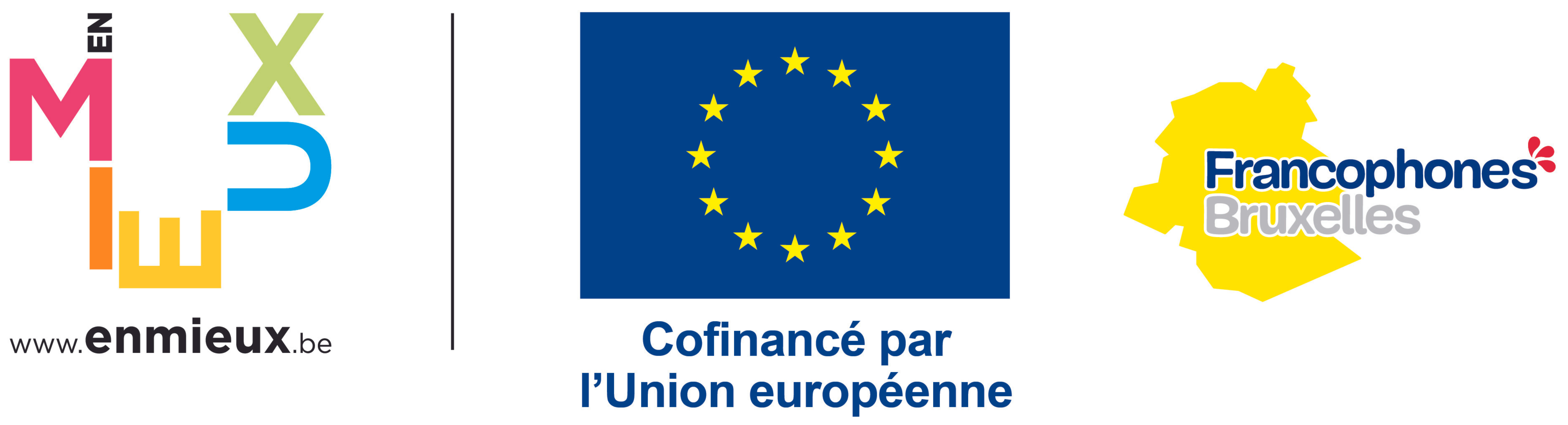 Logo du fond social européen, Cocof