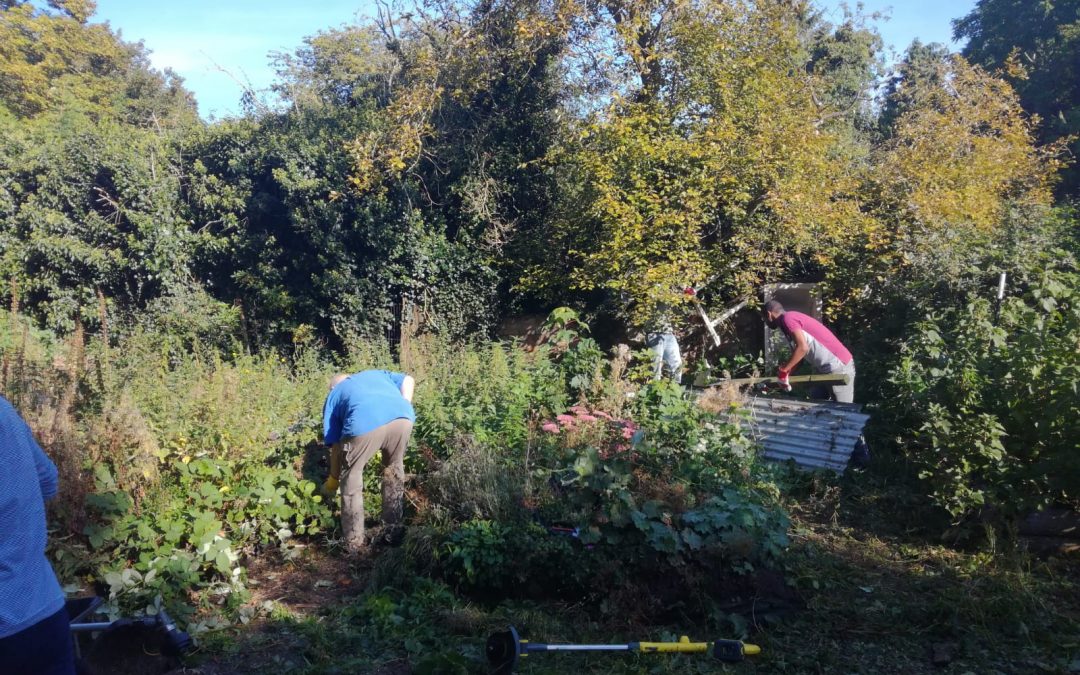 Don’t Lose Hope given lease to use Wellhead Community Garden in Bourne