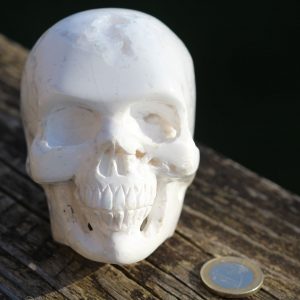 Crâne de cristal en Agate 652g