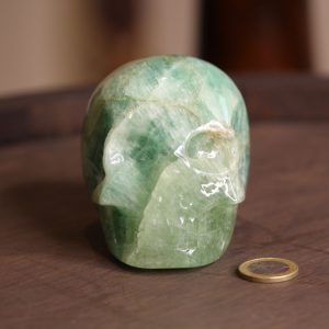 Crâne de cristal en fluorite 730g