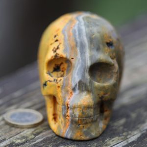 Crâne de cristal en jaspe bourdon 386g