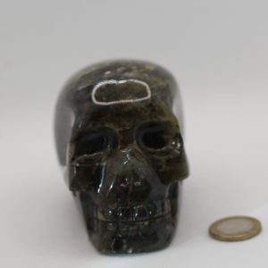 Crâne de cristal en Labradorite 618g