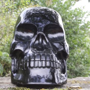 Crâne de cristal en obsidienne 7764g