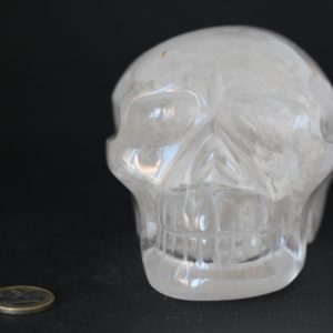 Crâne en Cristal de roche 1164g