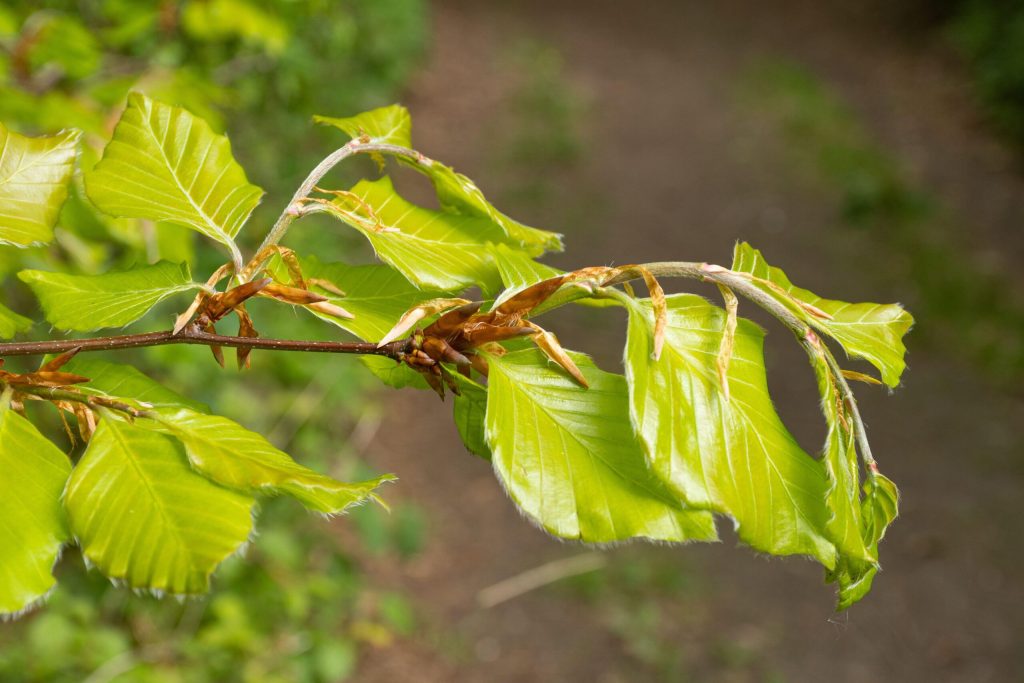 Foto: Alamy Stock Photo