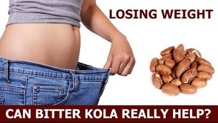 bitter kola: disadvantages of bitter kola, 10 benefits of bitter kola, bitter kola soaked in water, spiritual benefits of bitter kola, bitter kola and evil spirits, effect of bitter kola on sperm, health benefits of bitter kola and honey, origin of bitter kola, Bitter Kola, Bitter Kola Health Benefits