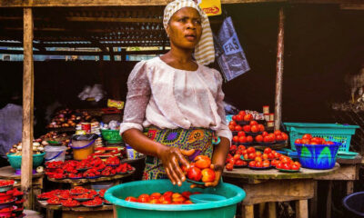 National Young Farmers Scheme, Nigeria’s Inflation Rate Hits 14.89% In Nov 2020 As Food Inflation Spikes