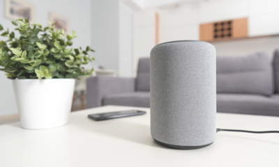 Smart Speakers Provide Accessibility to Blind or Visually Impaired, But Design Prevents Full Use Brandnewsday