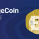 Dogecoin crypto, cryptocurrency, Cryptocurrency, Bitcoin, bitcoin account, bitcoin app, how to get bitcoins, how bitcoin works, how to buy bitcoin, bitcoin login, bitcoin mining, bitcoin wikipedia, Bitcoin price: bitcoin price prediction, bitcoin price history, bitcoin price dollar, bitcoin price live usd, historical bitcoin price, bitcoin cash price, ethereum price, litecoin price. bitcoin price naira, dogecoin after elon musk twitter, dogecoin elon musk deal, dogecoin elon musk twitter deal, dogecoin after elon musk twitter deal, dogecoin surges elon musk twitter, dogecoin surges after elon musk, dogecoin surges after elon musk deal, dogecoin surges after elon musk twitter,  twitter verification link, minimum followers for twitter verification, twitter verification code, twitter verification application, get verified on twitter, how to get verified on twitter hack, twitter verification badge, twitter blue tick