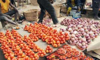 tomato price in nigeria, prices of tin tomatoes in nigeria, price of sachet tomatoes in nigeria, current price of basket of tomatoes in nigeria 2020, price of tomato paste in nigeria, price of basket of tomatoes in mile 12 today, tomato sales in nigeria, price of maize per ton in nigeria 2019, price of vegetables in nigeria,  onions price in nigeria, onion price today in nigeria, onion business in nigeria, price of onion in lagos, onion market in nigeria, bag of onions price, onions distribution business in nigeria, onions in nigeria, how much is a bag of onions in jos