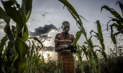 FAO aims to provide livelihood assistance to nearly 49 million people in 2021 Brandnewsday