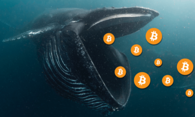 crypto whale tracker, bitcoin whales list, bitcoin whale definition, known bitcoin whales, bitcoin whale chart, whale alert -- telegram, biggest bitcoin whales, bitcoin account, bitcoin dollar, how to get bitcoins, bitcoin app, bitcoin login, bitcoin wallet, bitcoin investment, how to buy bitcoin