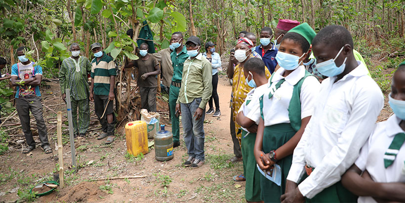 IITA partners with Nigerian Breweries for Olokemeji Reforestation