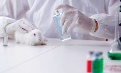 Europe’s Animal Testing Ban