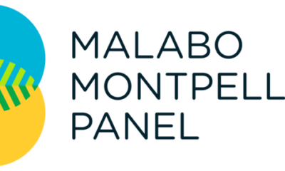 Malabo Montpellier Panel