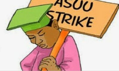 ASUU Strike News, Latest-ASUU-Strike-News, Timeline of ASUU strike in Nigeria, Is ASUU going on strike tomorrow, ASUU commence strike, Official ASUU, ASUU - Twitter, ASUU strike August 2, ASUU strike update September 2021, ASUU strike update February 2022, Full meaning of ASUU,