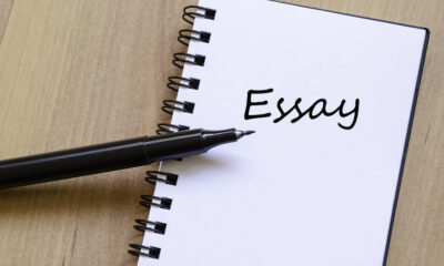 Image result for essay