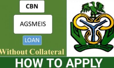 nirsal agric loan, agric loan application portal, fgn agricultural loan.com. apply now, agric loan without collateral, cbn loan without collateral, bank of agriculture loan 2021, cbn agricultural grants in nigeria 2021, nirsal cbn loan, cbn loan application portal 2021, cbn loan application form 2022, cbn loan application form 2021, fgn agricultural loan.com. apply now, agric loan without collateral, www.cbn.gov.ng portal, ww.cbn.gov.ng loan application, www.cbn.gov.ng loan application form