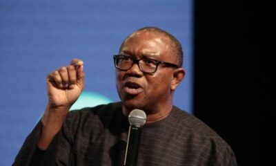 2023: Peter Obi Represent Biafra, Don't Vote Him - Miyetti Allah