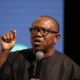 2023: Peter Obi Represent Biafra, Don't Vote Him - Miyetti Allah