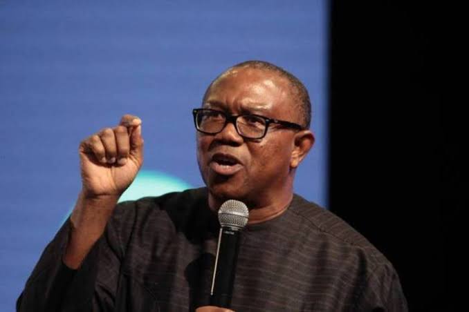 2023: Peter Obi Represent Biafra, Don't Vote Him - Miyetti Allah