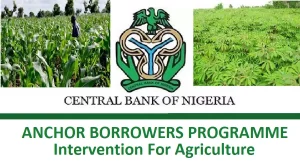 Anchor Borrower Scheme: Agro Commodity Association Appeal President Buhari To Look Into Pathetic State Of Agro Input Suppliers, As CBN, Commercial Banks Denied Payment