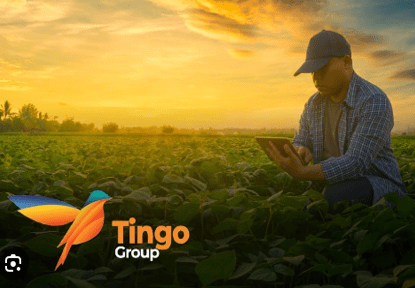 Tingo Group Inc, How Tingo Confidently Scams Nigeria With Backing Of Some Powerful Elites (Part 1)