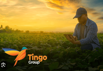 How Tingo Confidently Scams Nigeria With Backing Of Some Powerful Elites (Part 1) Tingo Group Inc, How Tingo Confidently Scams Nigeria With Backing Of Some Powerful Elites (Part 1)